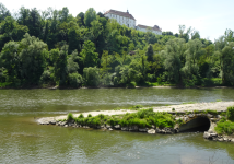 Flusslandschaft Untere Mur